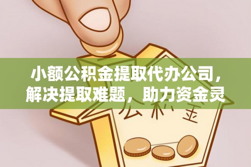新园小额公积金提取代办公司，解决提取难题，助力资金灵活使用