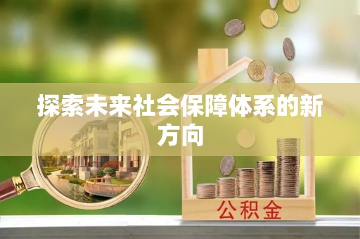 新园探索未来社会保障体系的新方向