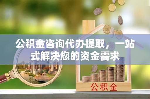 新园公积金咨询代办提取，一站式解决您的资金需求