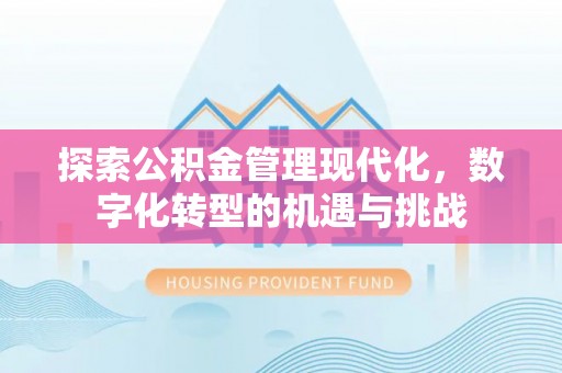 新园探索公积金管理现代化，数字化转型的机遇与挑战
