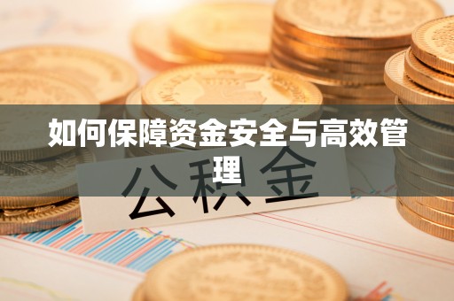 新园如何保障资金安全与高效管理