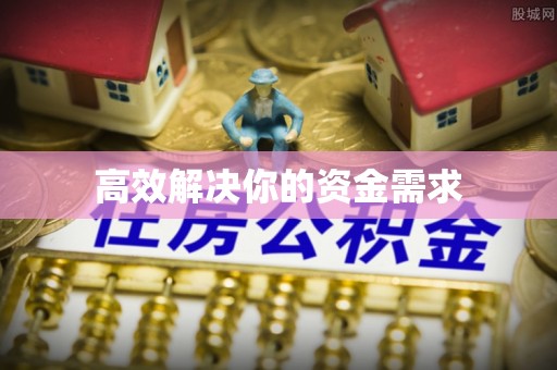 新园高效解决你的资金需求