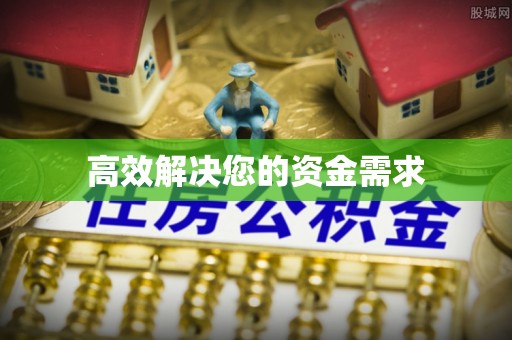 新园高效解决您的资金需求