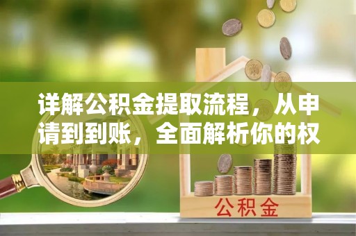 新园详解公积金提取流程，从申请到到账，全面解析你的权益与操作步骤