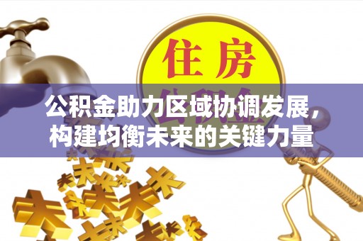 新园公积金助力区域协调发展，构建均衡未来的关键力量