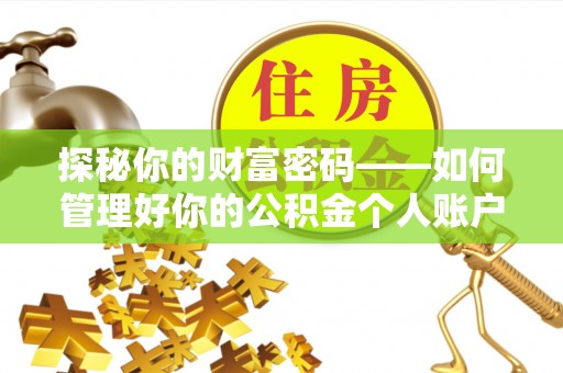 新园探秘你的财富密码——如何管理好你的公积金个人账户信息