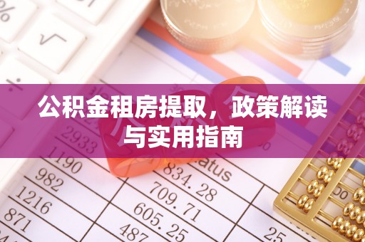 新园公积金租房提取，政策解读与实用指南