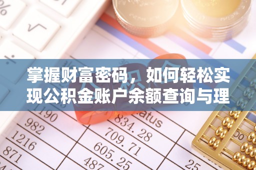 新园掌握财富密码，如何轻松实现公积金账户余额查询与理财规划