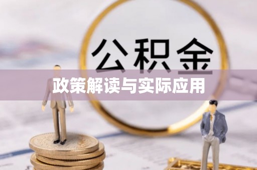 新园政策解读与实际应用