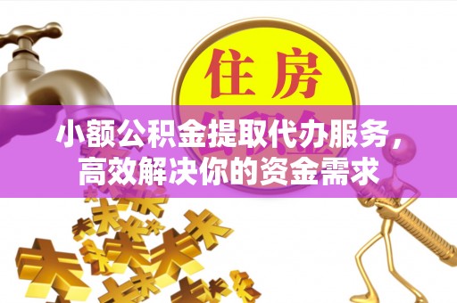 新园小额公积金提取代办服务，高效解决你的资金需求