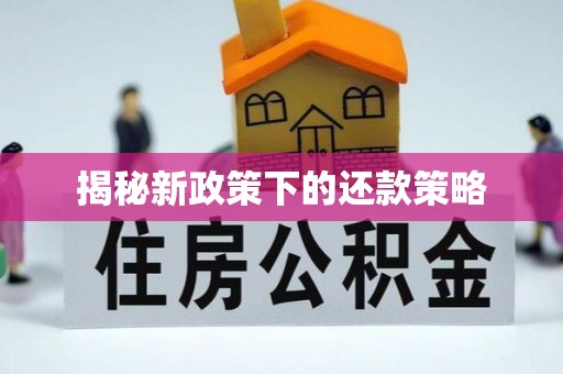 新园揭秘新政策下的还款策略