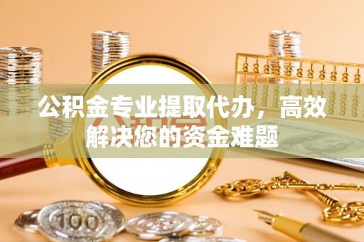 新园公积金专业提取代办，高效解决您的资金难题