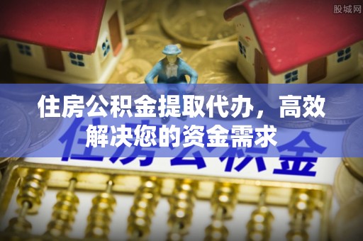 新园住房公积金提取代办，高效解决您的资金需求