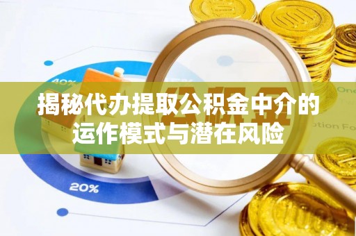 新园揭秘代办提取公积金中介的运作模式与潜在风险