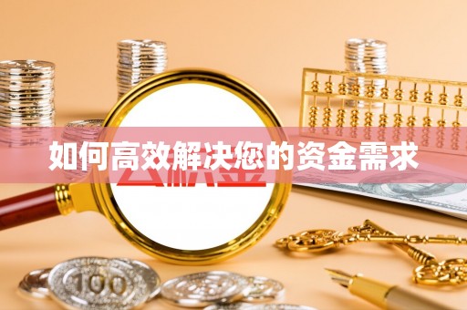 新园如何高效解决您的资金需求
