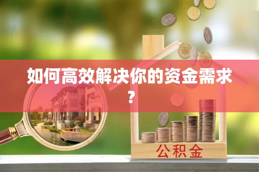 新园如何高效解决你的资金需求？