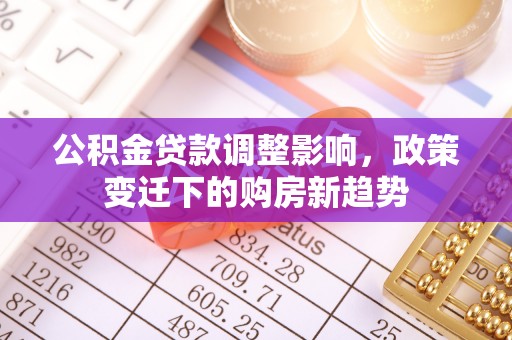 新园公积金贷款调整影响，政策变迁下的购房新趋势