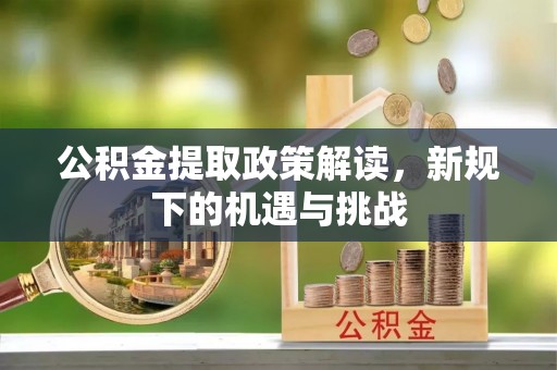新园公积金提取政策解读，新规下的机遇与挑战
