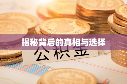 新园揭秘背后的真相与选择