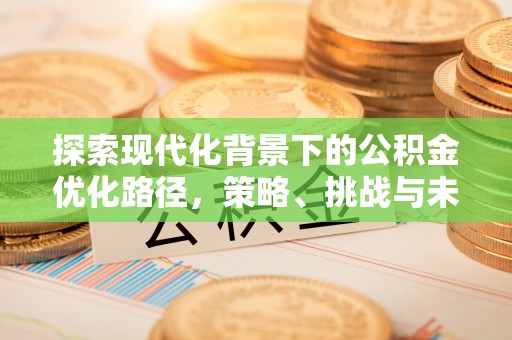 新园探索现代化背景下的公积金优化路径，策略、挑战与未来展望