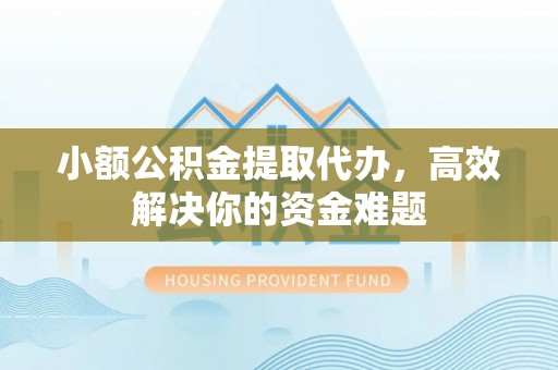 新园小额公积金提取代办，高效解决你的资金难题