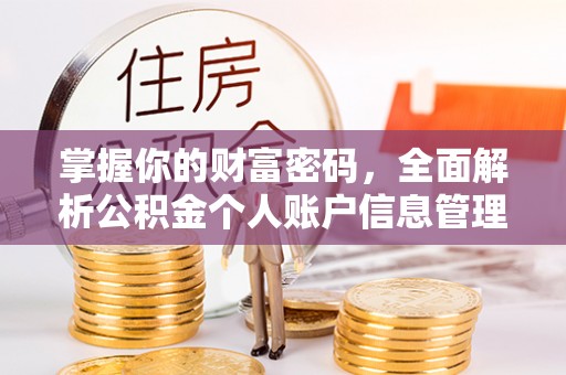 新园掌握你的财富密码，全面解析公积金个人账户信息管理与优化