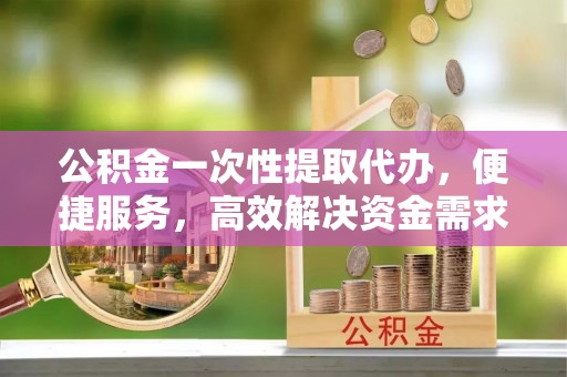 新园公积金一次性提取代办，便捷服务，高效解决资金需求
