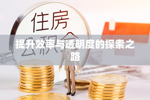 新园提升效率与透明度的探索之路