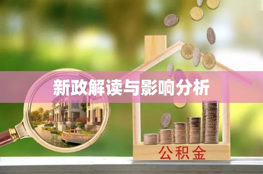 新园新政解读与影响分析