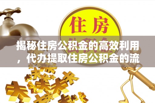 新园揭秘住房公积金的高效利用，代办提取住房公积金的流程与技巧