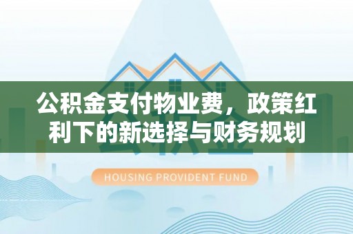新园公积金支付物业费，政策红利下的新选择与财务规划