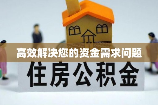 新园高效解决您的资金需求问题