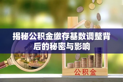 新园揭秘公积金缴存基数调整背后的秘密与影响