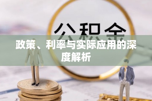 新园政策、利率与实际应用的深度解析