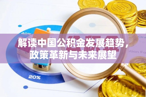 新园解读中国公积金发展趋势，政策革新与未来展望