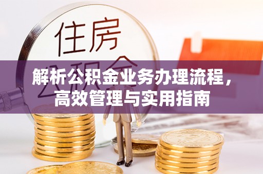 新园解析公积金业务办理流程，高效管理与实用指南