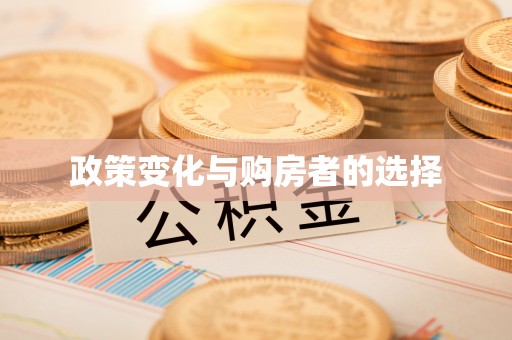 新园政策变化与购房者的选择