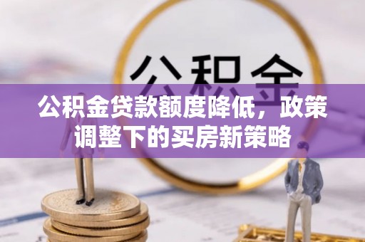 新园公积金贷款额度降低，政策调整下的买房新策略