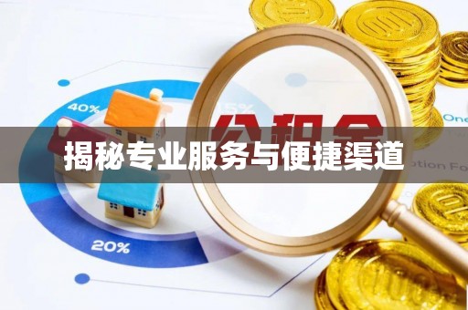 新园揭秘专业服务与便捷渠道