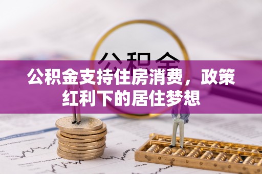 新园公积金支持住房消费，政策红利下的居住梦想