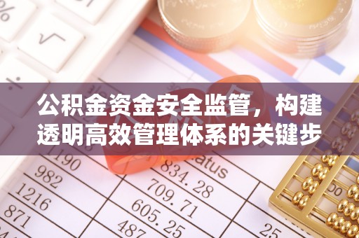 新园公积金资金安全监管，构建透明高效管理体系的关键步骤