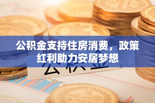 新园公积金支持住房消费，政策红利助力安居梦想