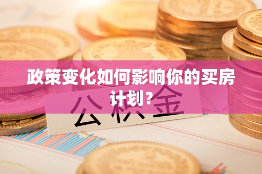 新园政策变化如何影响你的买房计划？