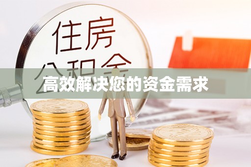 新园高效解决您的资金需求