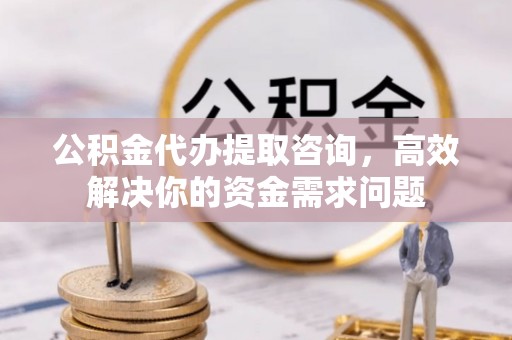 新园公积金代办提取咨询，高效解决你的资金需求问题
