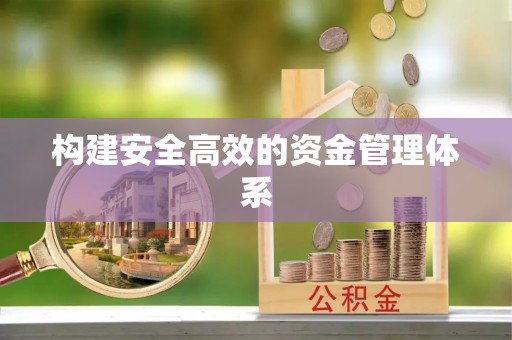 新园构建安全高效的资金管理体系