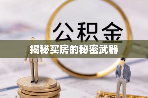 新园揭秘买房的秘密武器