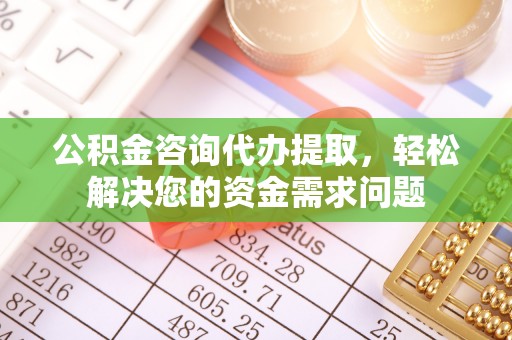 新园公积金咨询代办提取，轻松解决您的资金需求问题