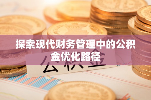 新园探索现代财务管理中的公积金优化路径