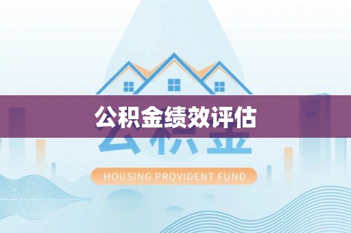 新园公积金绩效评估